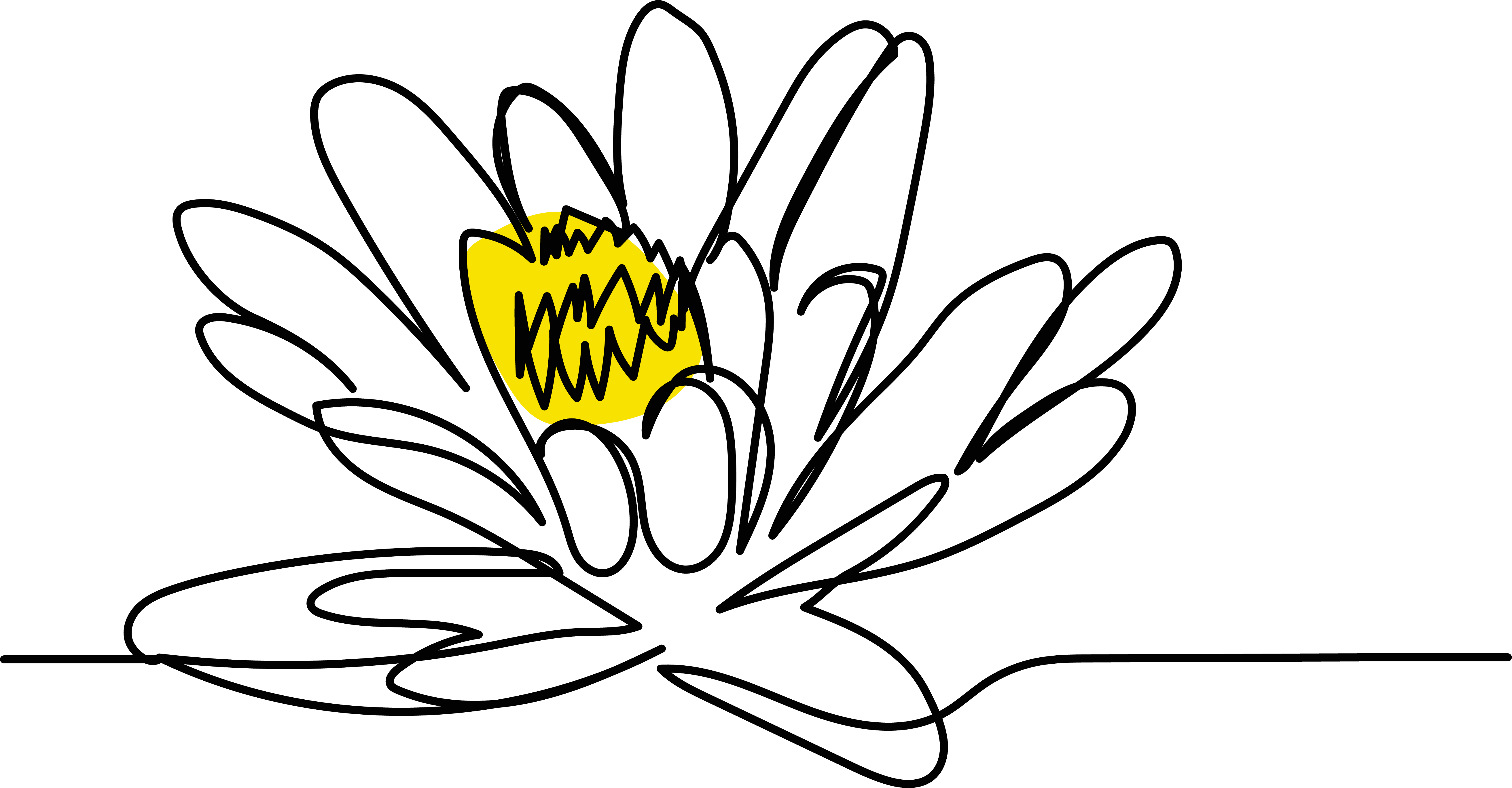 flower illustration